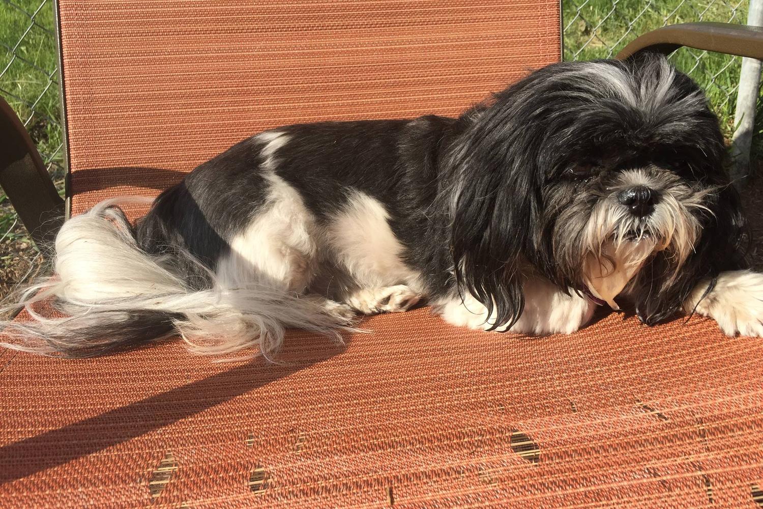 At Your Bark-N-Call, Bed & Bath, Inc. 4