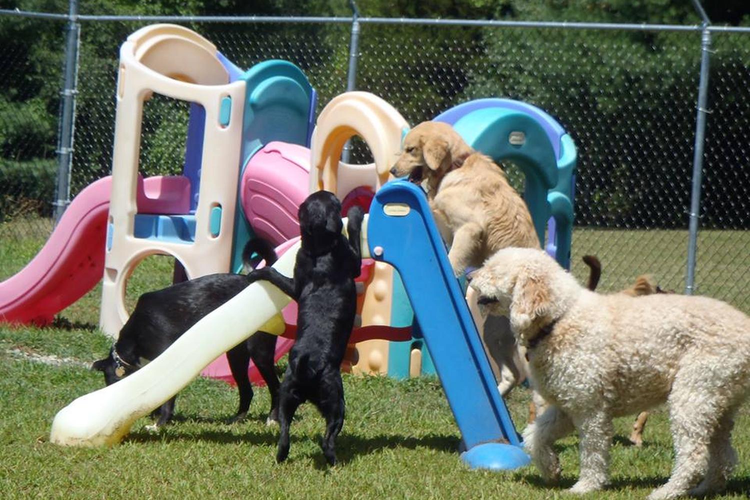 Norwichtown Pet Resort & Spa 0