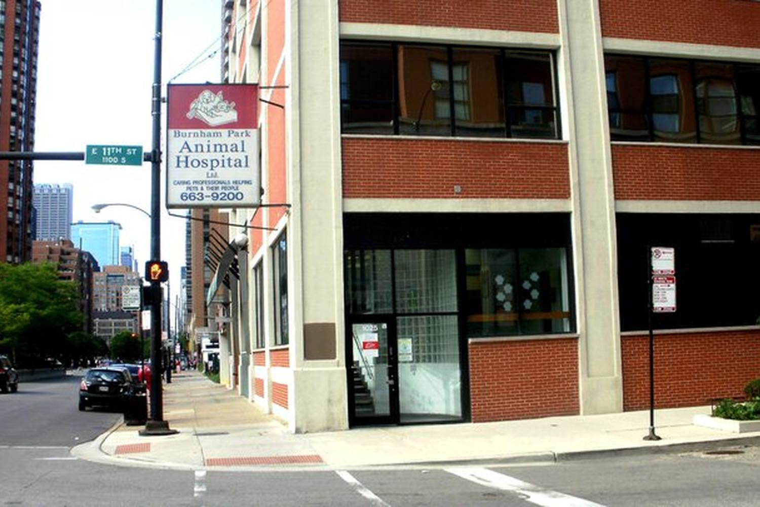 Burnham Park Animal Hospital 3