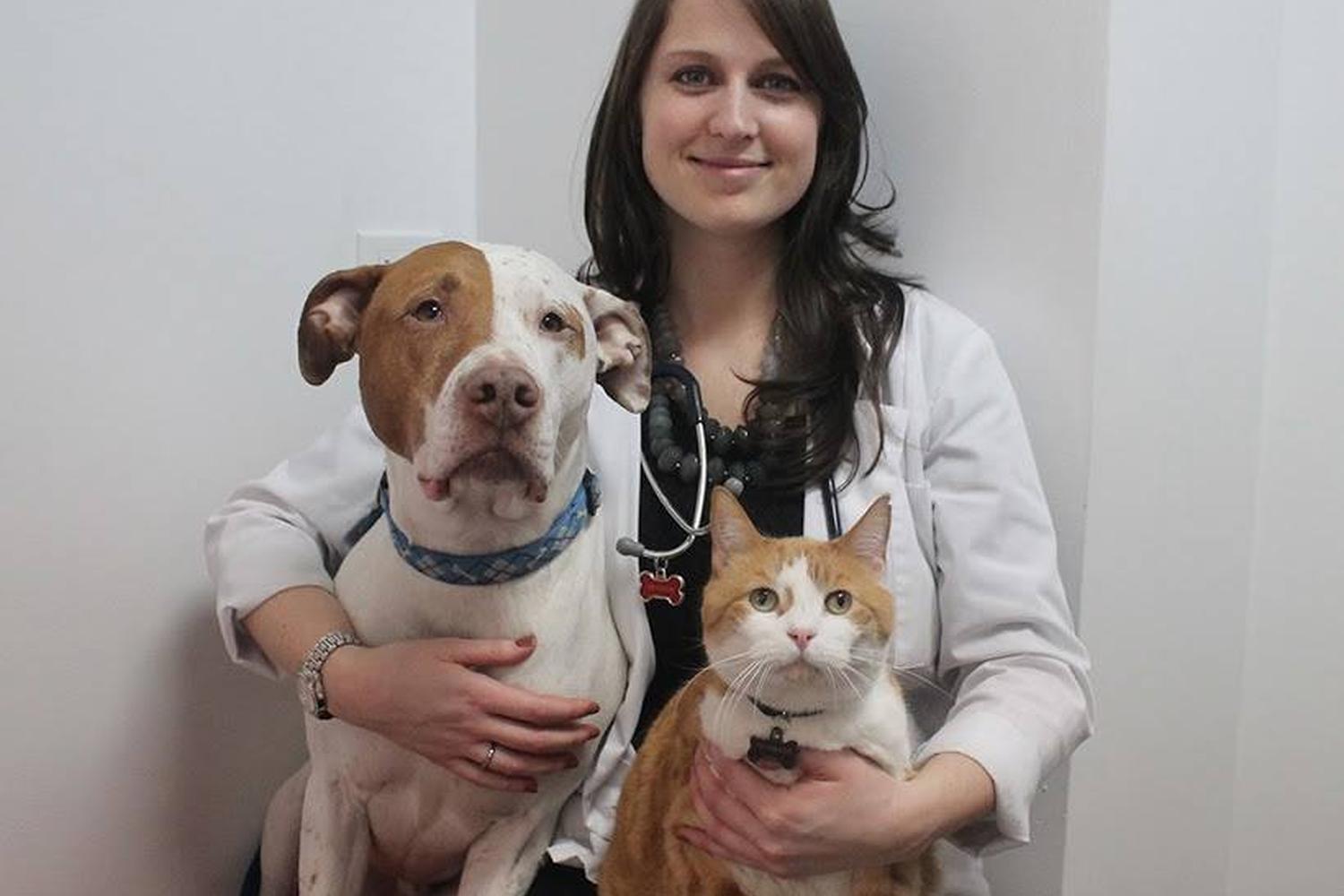 Burnham Park Animal Hospital 5