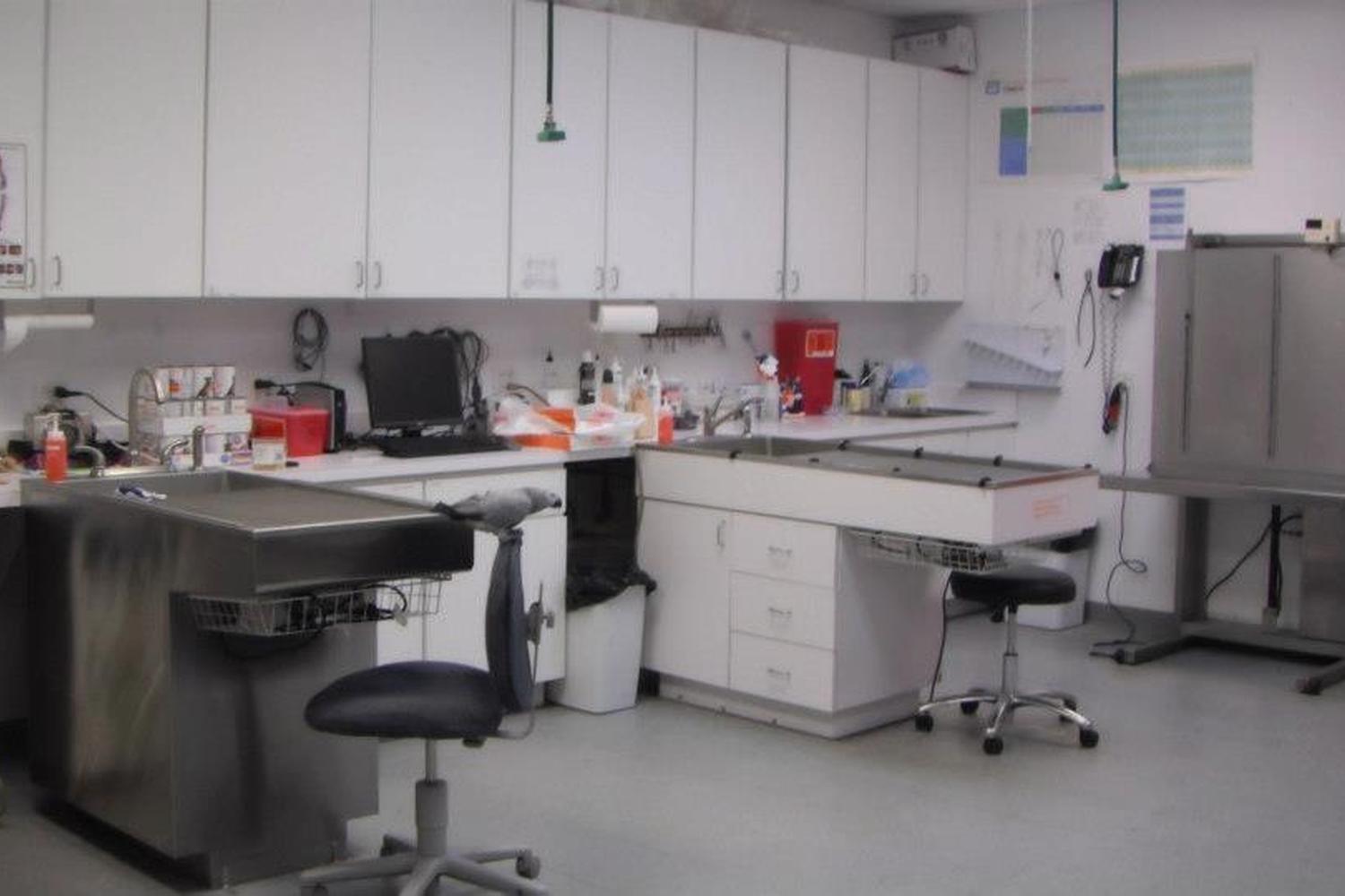 Burnham Park Animal Hospital 1