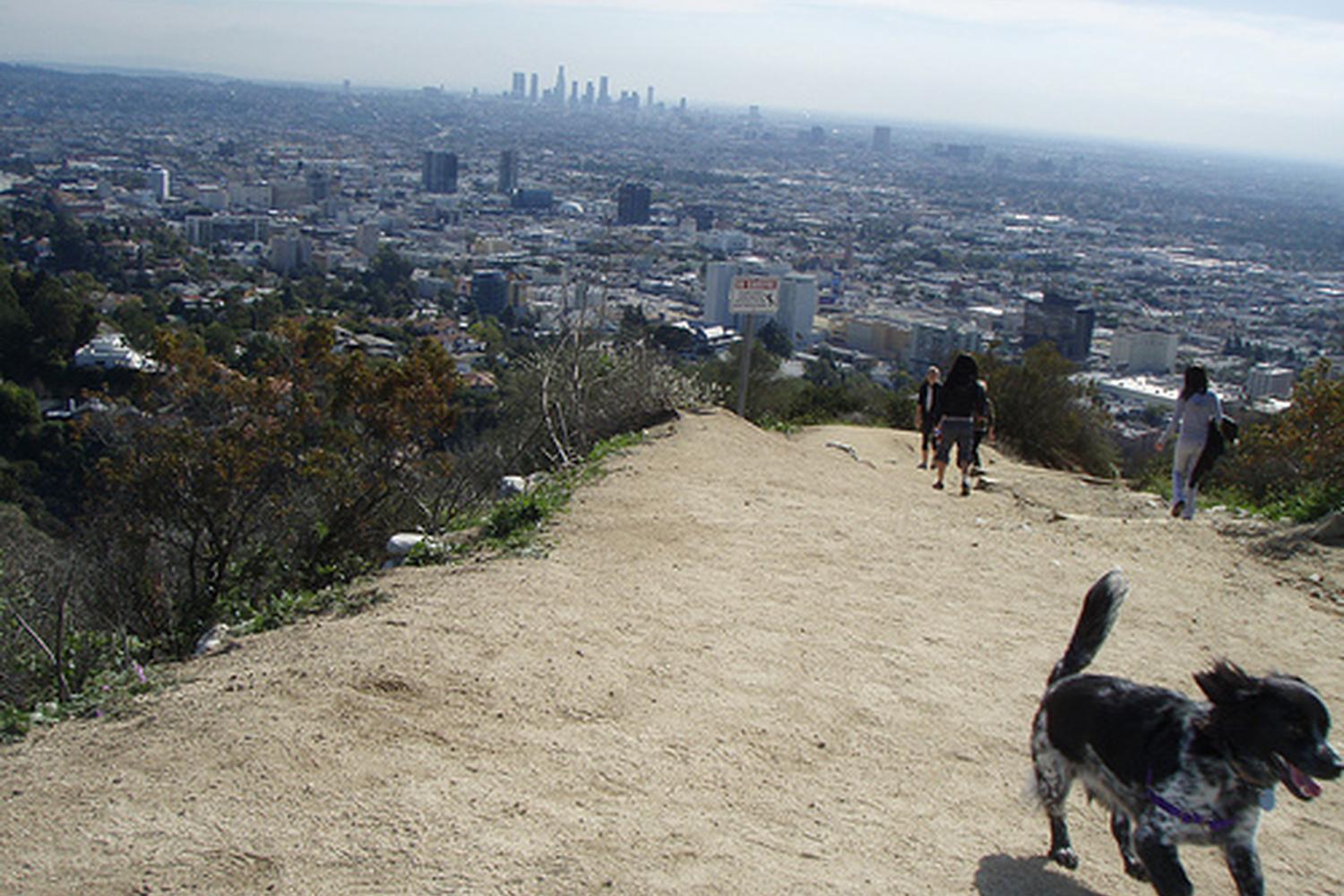 Runyon Canyon Park 4