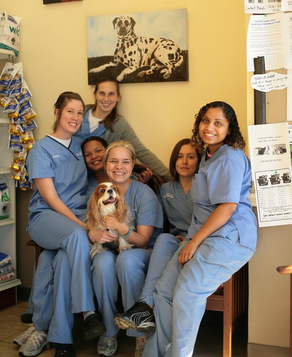 Prytania Veterinary Hospital 0