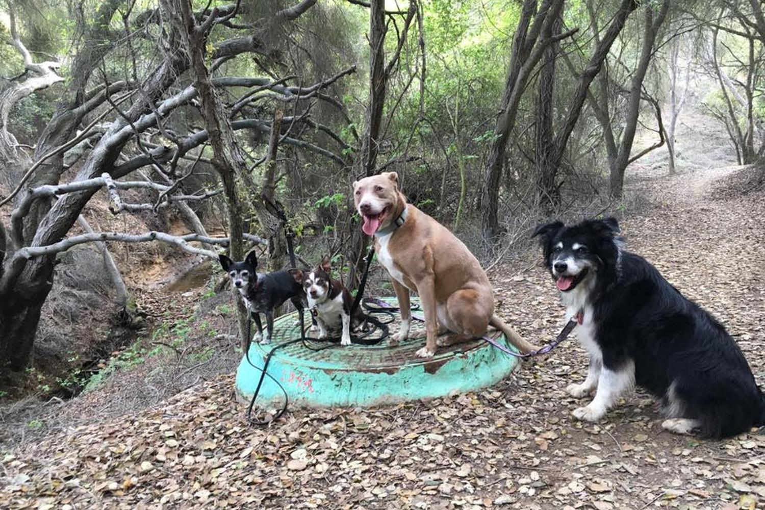 Marian Bear Memorial Park 2