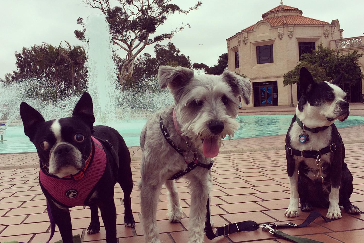Balboa Park 1