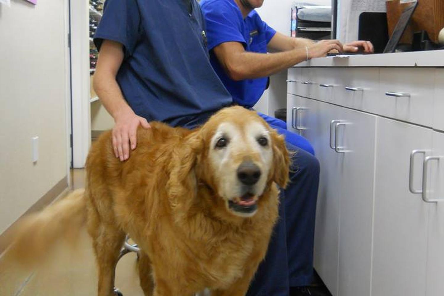 Animal Care Clinic 5