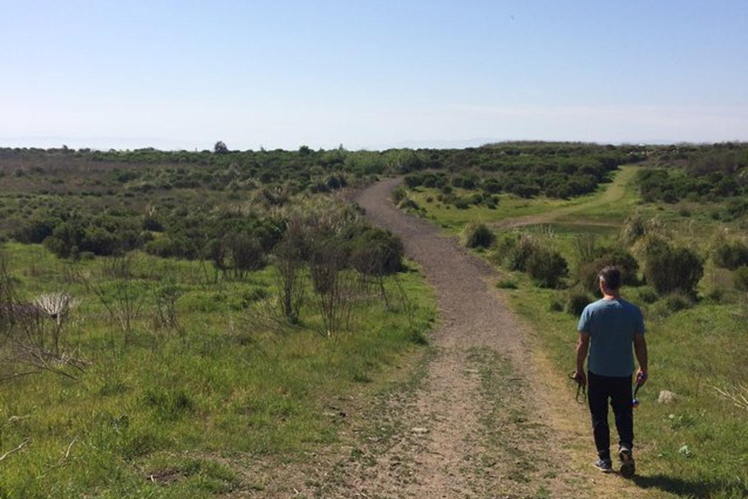 Oyster Bay Regional Shoreline 4