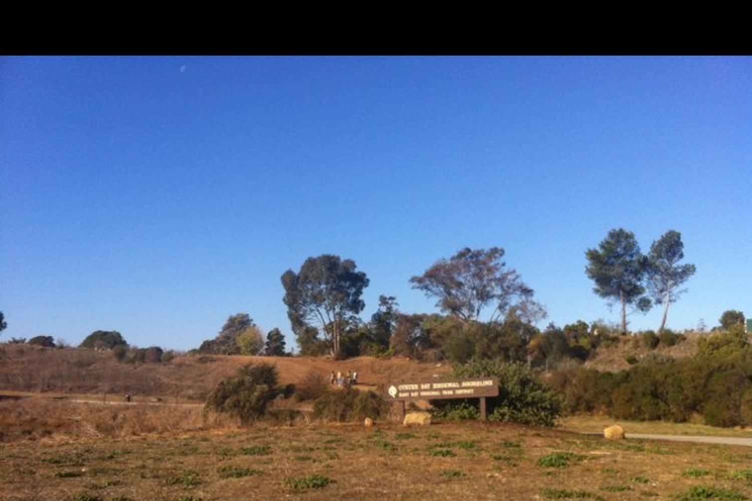 Oyster Bay Regional Shoreline 0