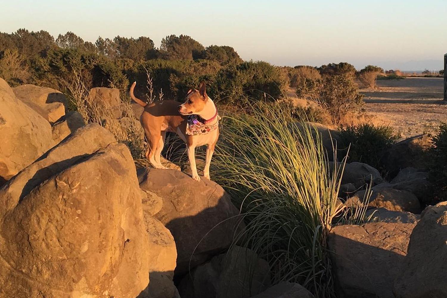 Oyster Bay Regional Shoreline 6