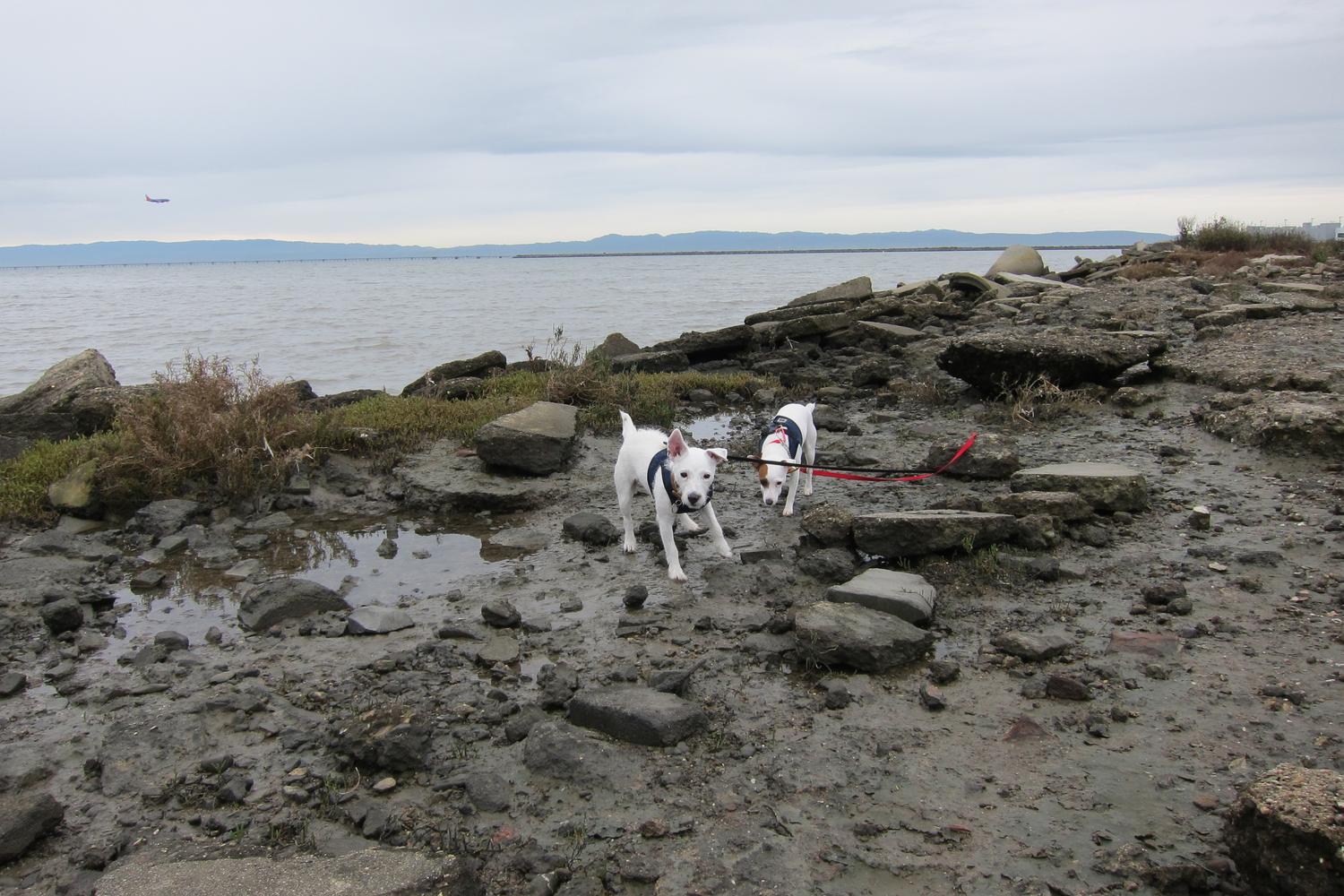 Oyster Bay Regional Shoreline 2