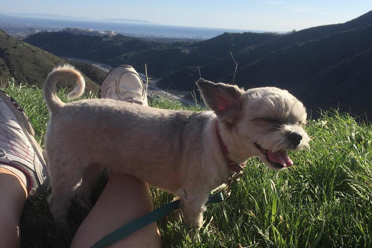 Getty View Park 6