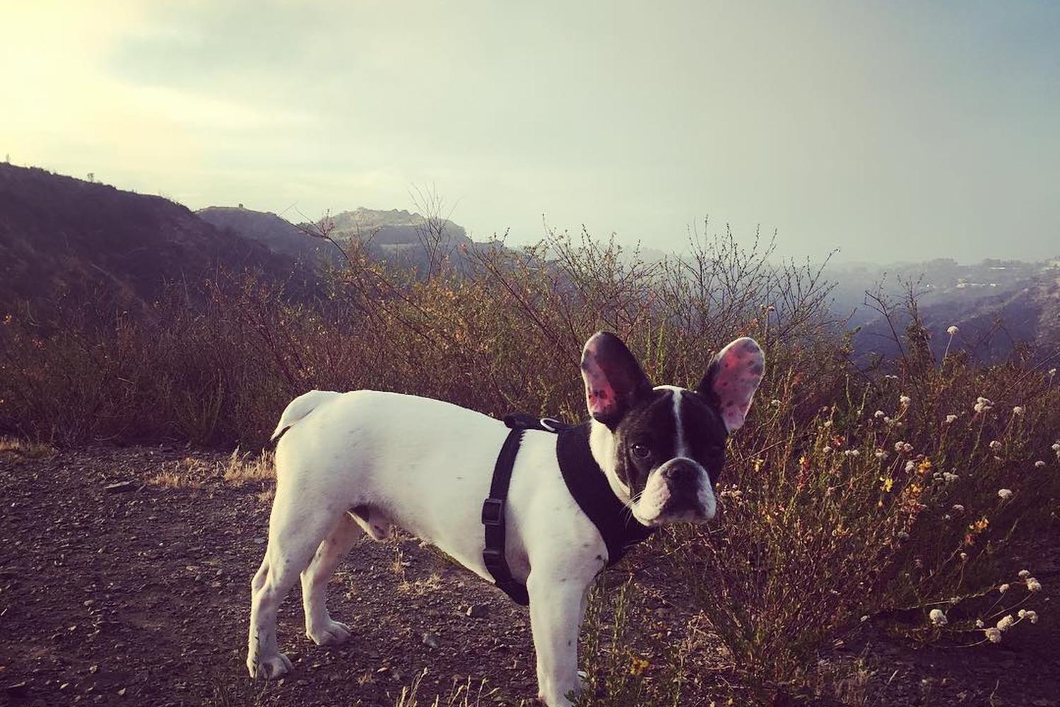 Getty View Park 3