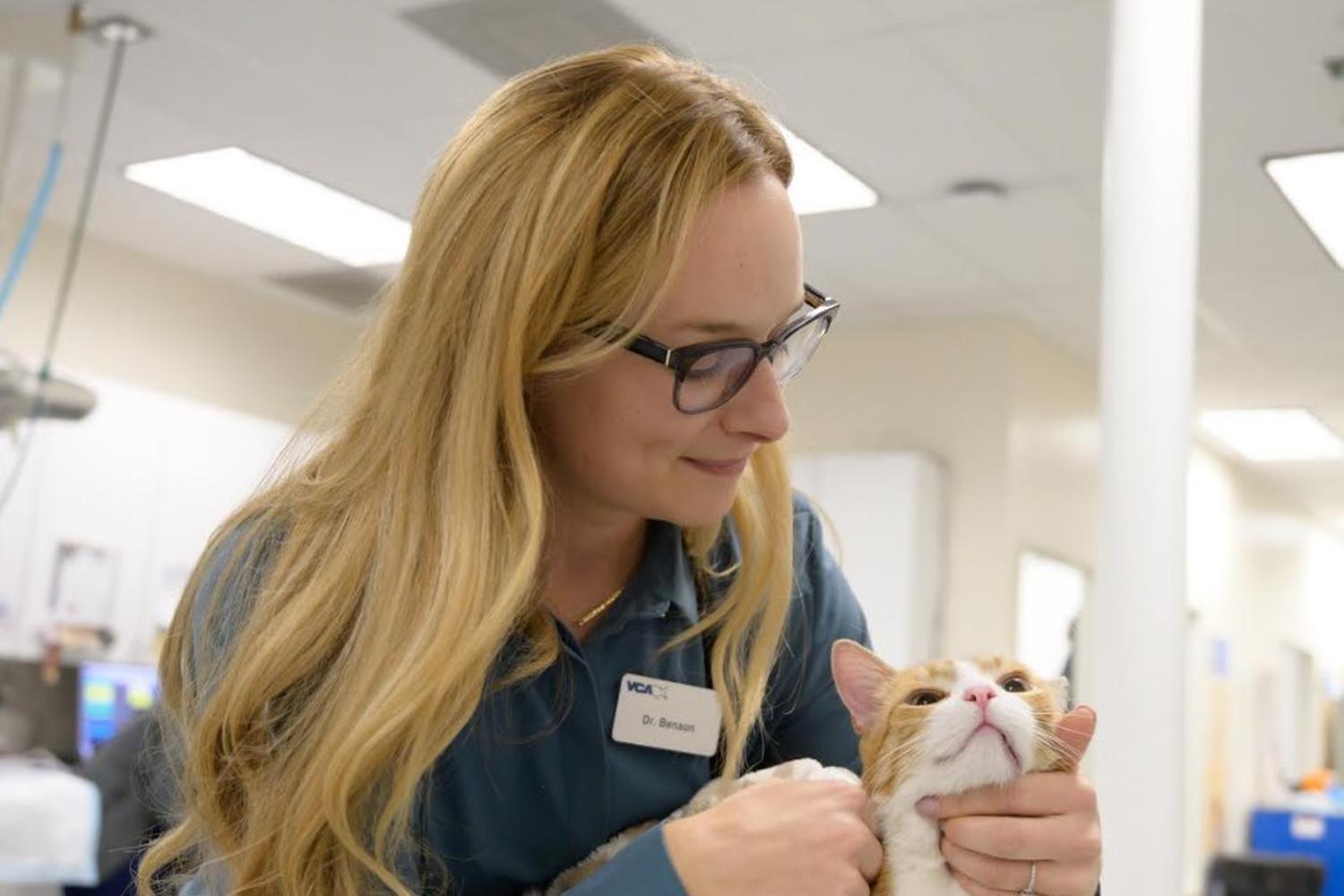 VCA California Veterinary Specialists - Ontario 1