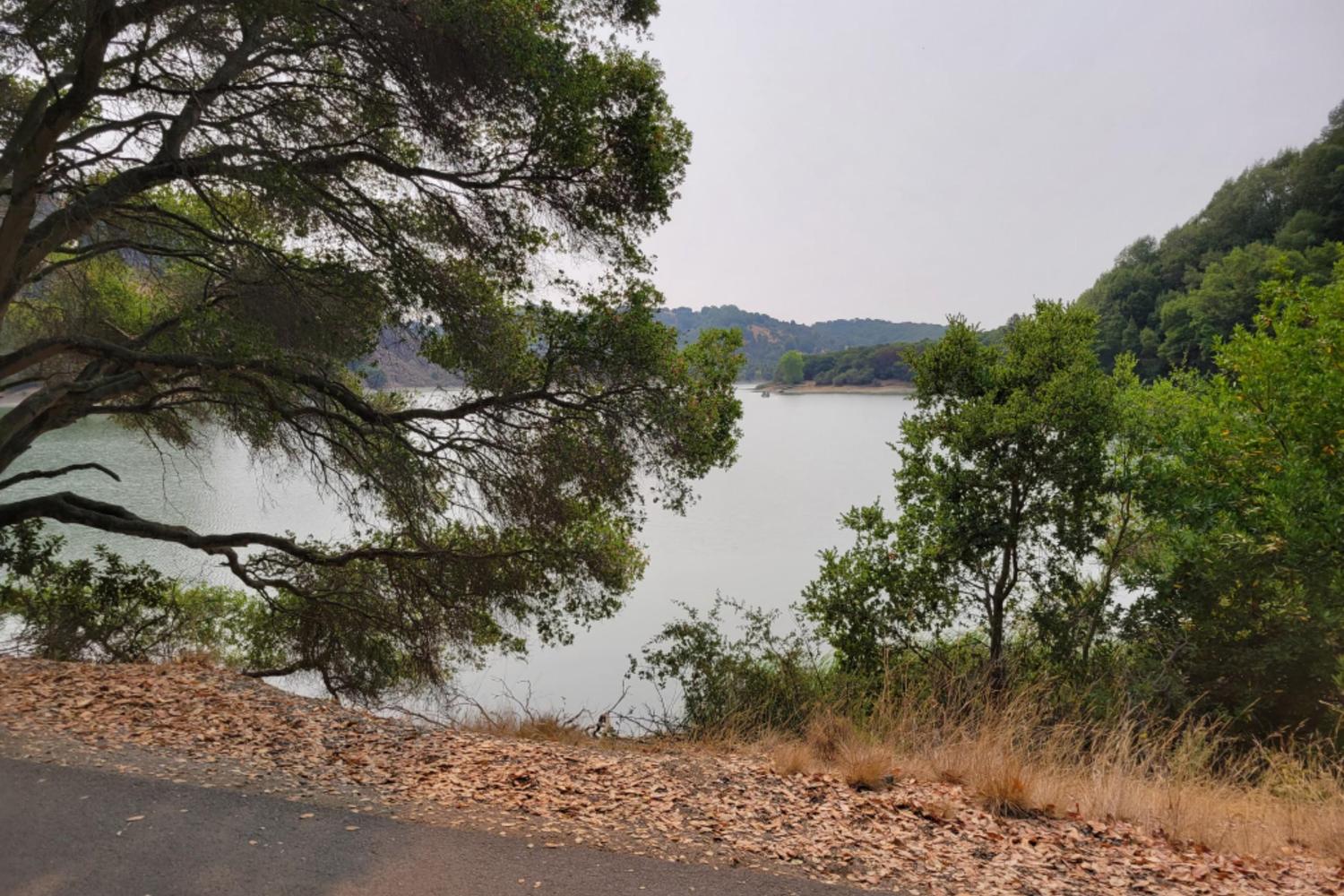 Lake Chabot Regional Park 3