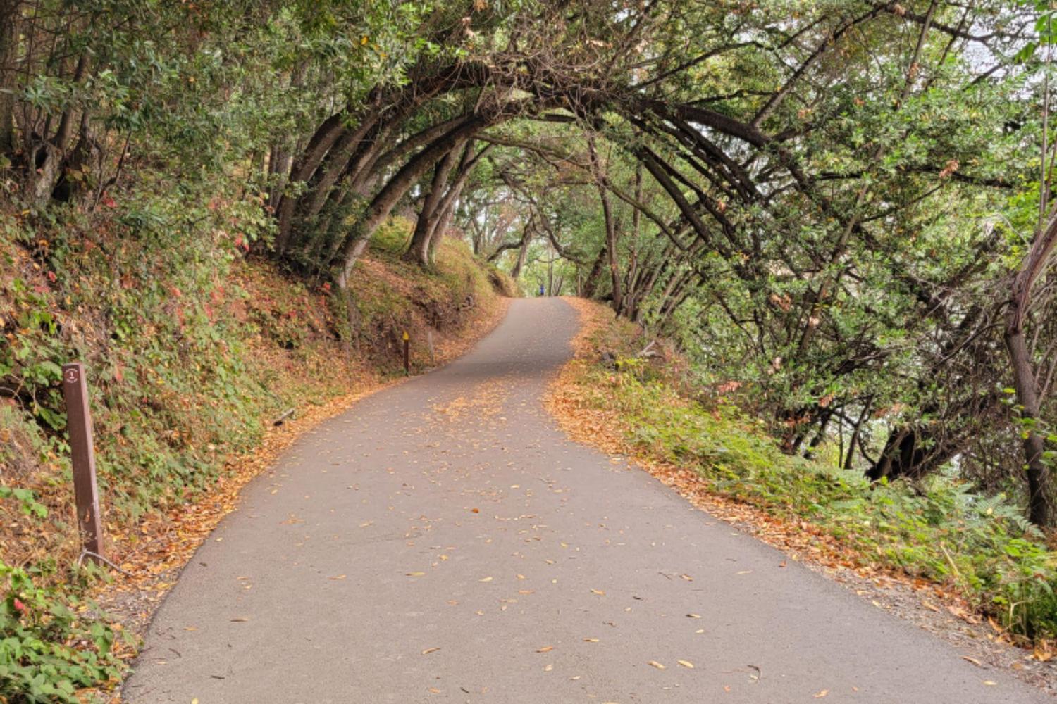 Lake Chabot Regional Park 4
