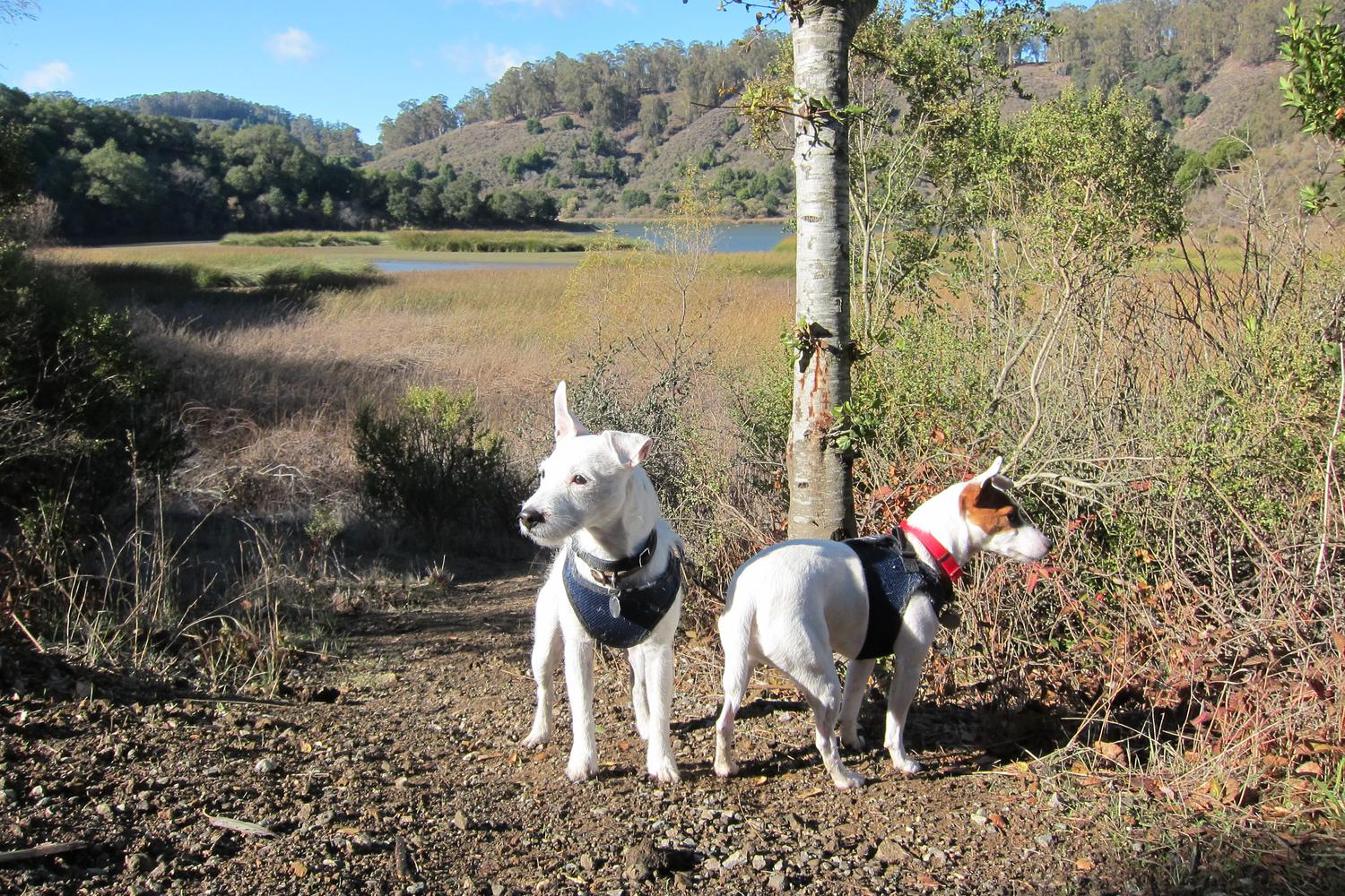 Lake Chabot Regional Park 0