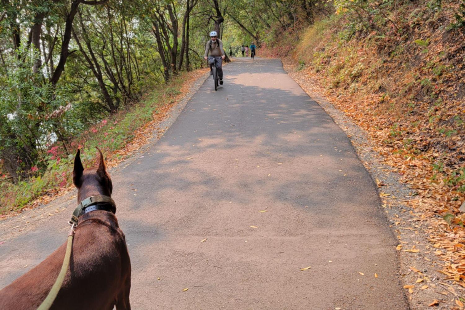 Lake Chabot Regional Park 2