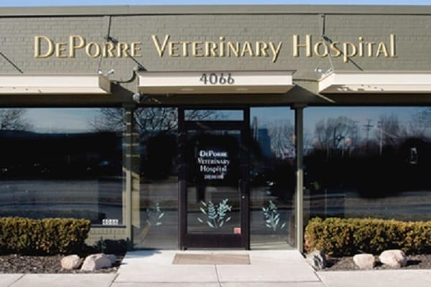 DePorre Veterinary Hospital 2