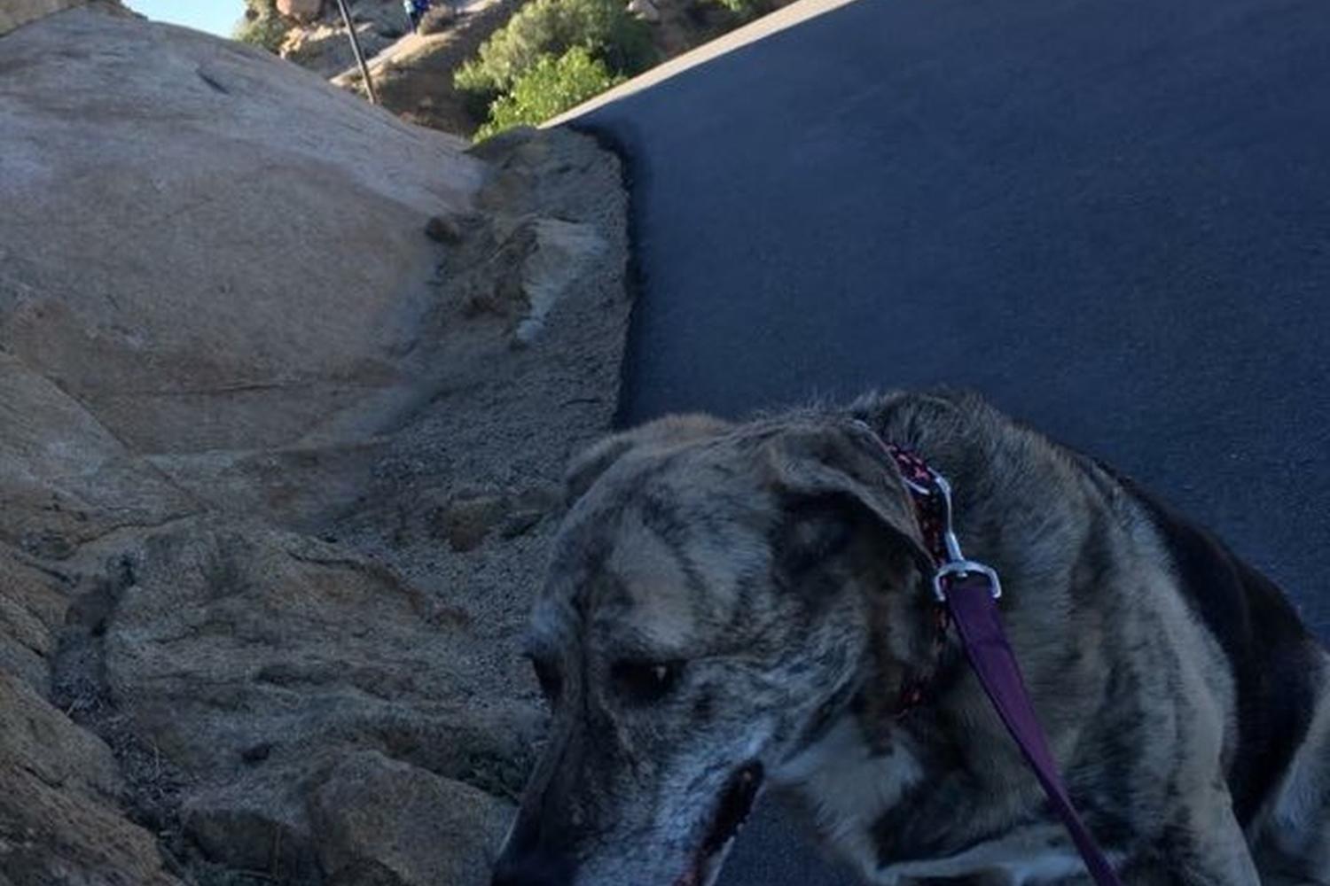 Mount Rubidoux Trail 0