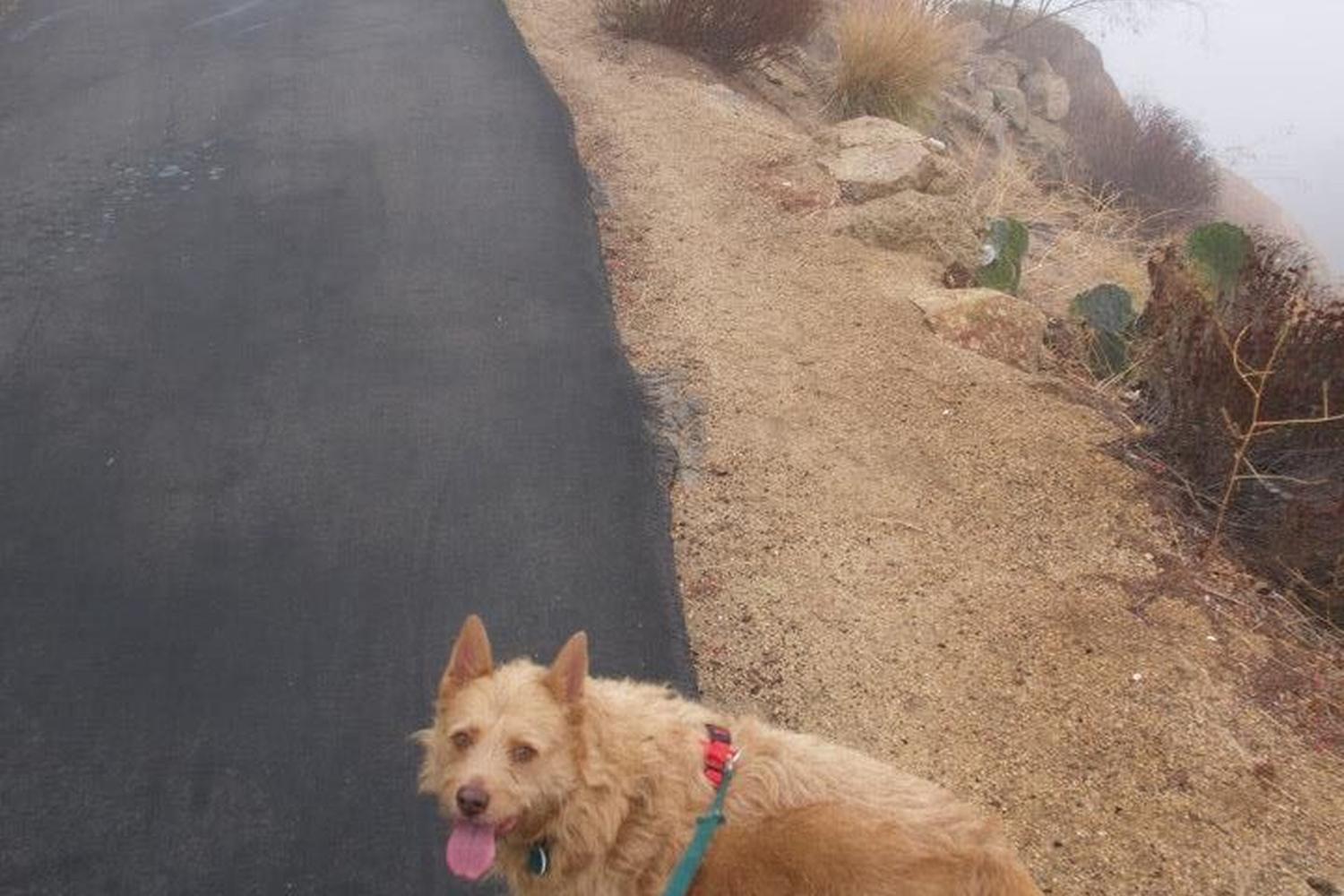Mount Rubidoux Trail 2