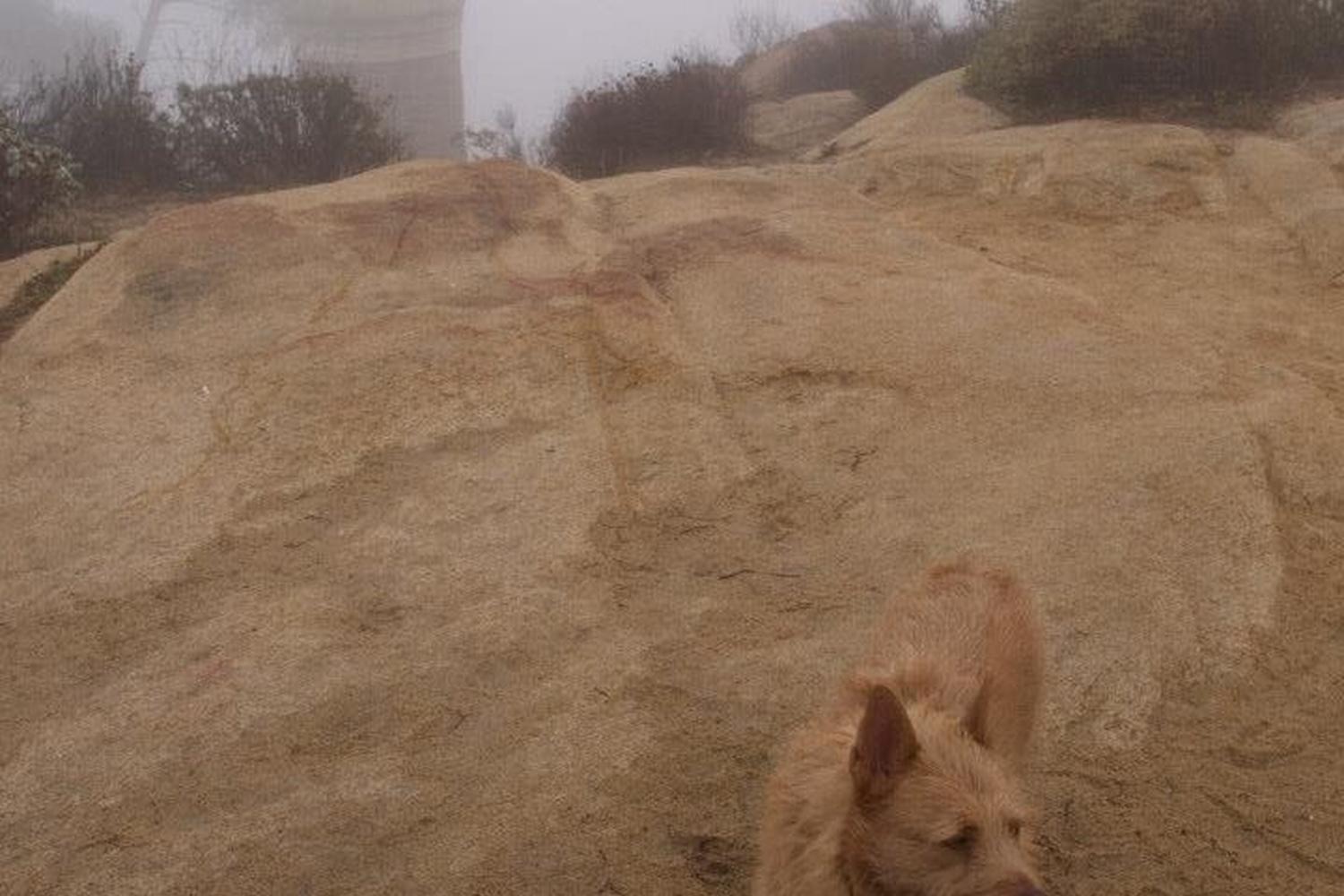 Mount Rubidoux Trail 5