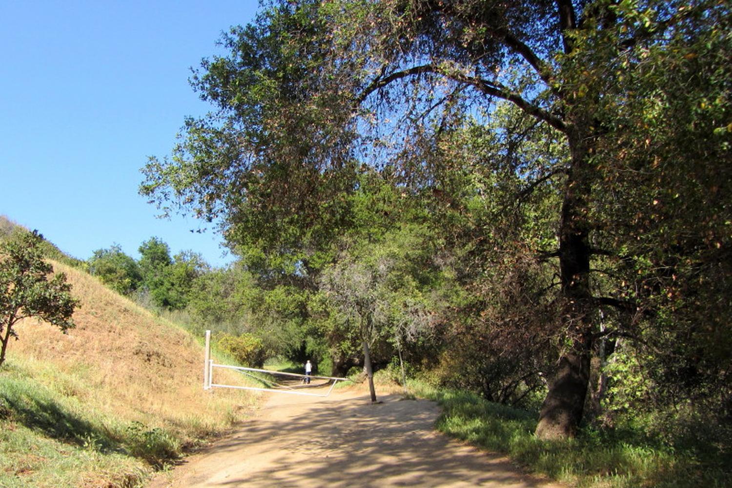 Bronson Canyon Trail at Griffith Park 1