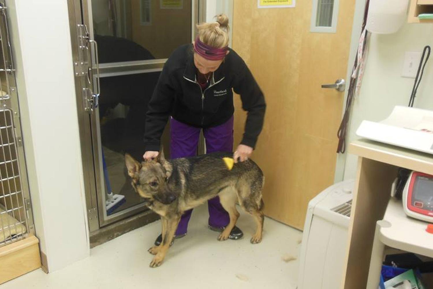 Heartland Animal Hospital 2