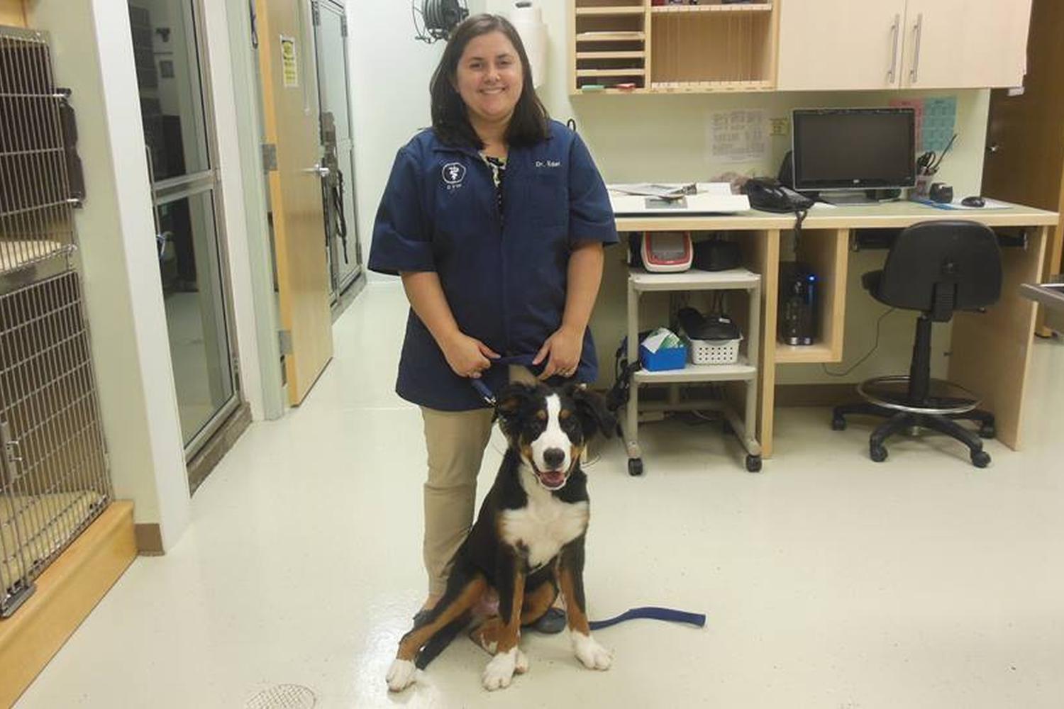 Heartland Animal Hospital 0