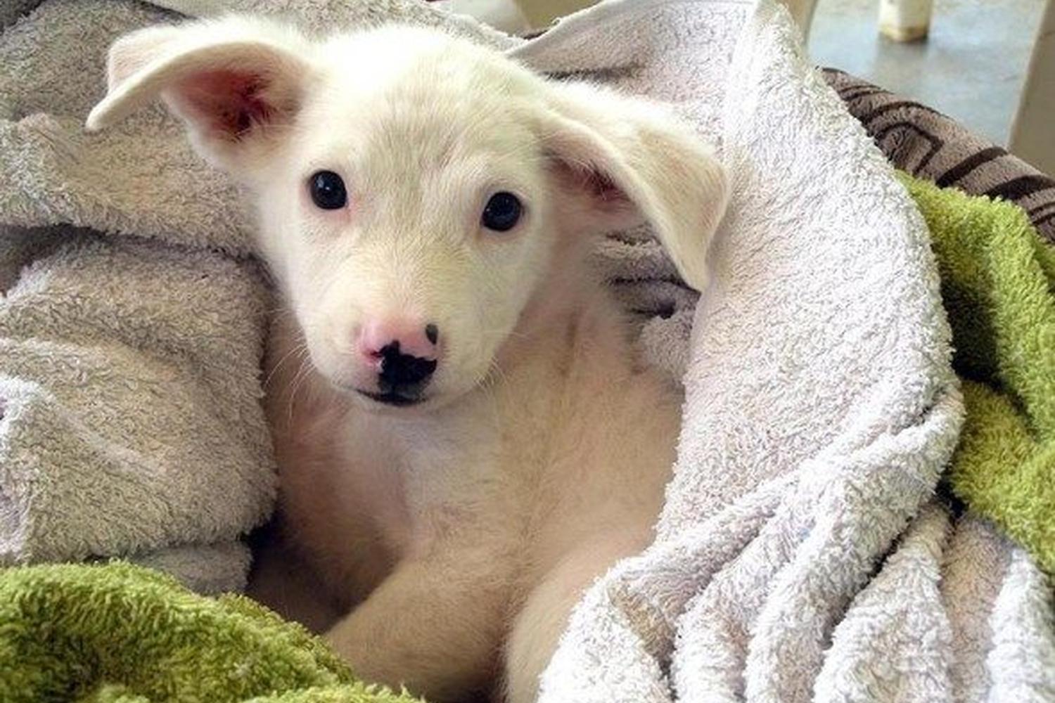 Brandon Lakes Animal Hospital 1
