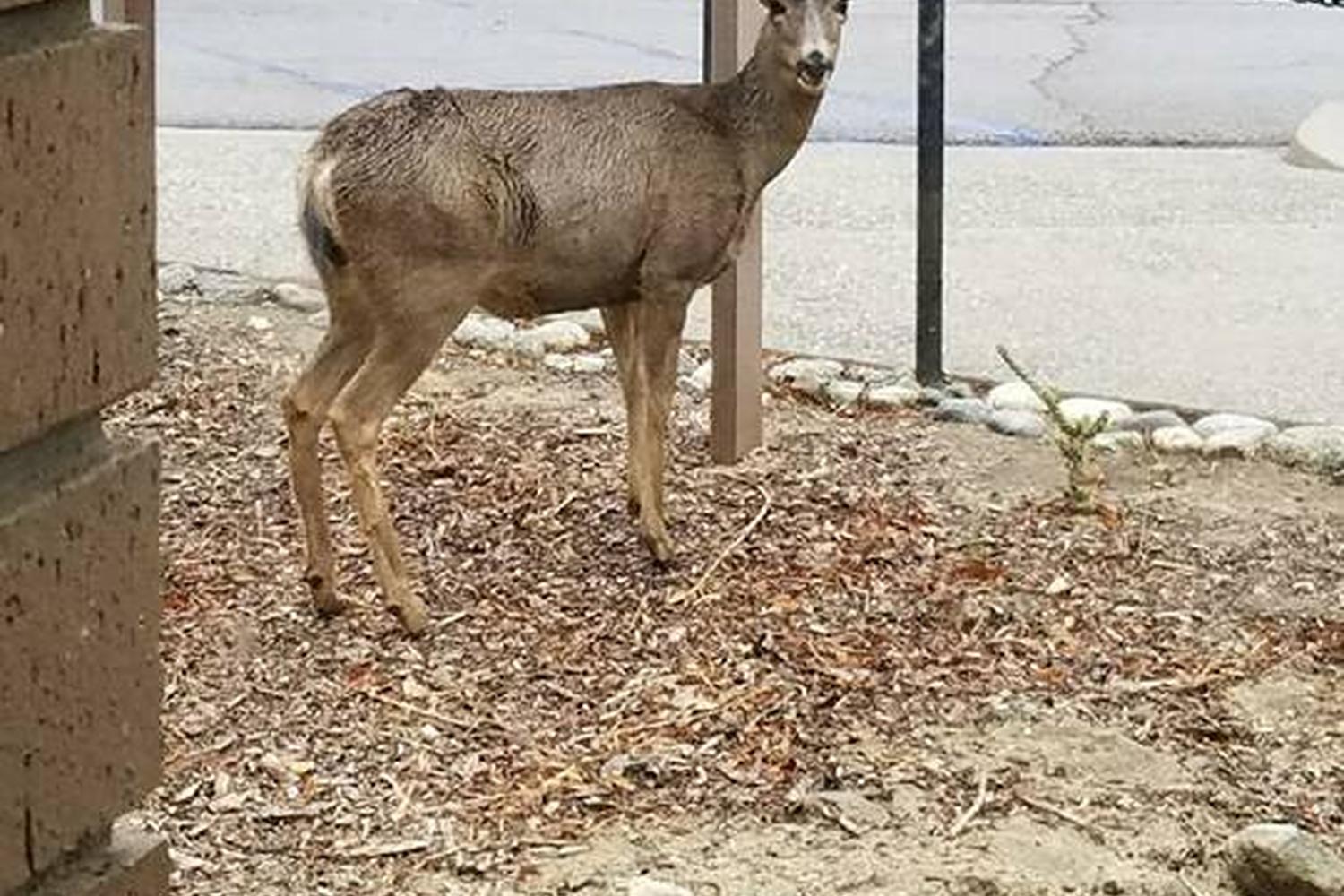 Lake Perris State Recreation Area 2