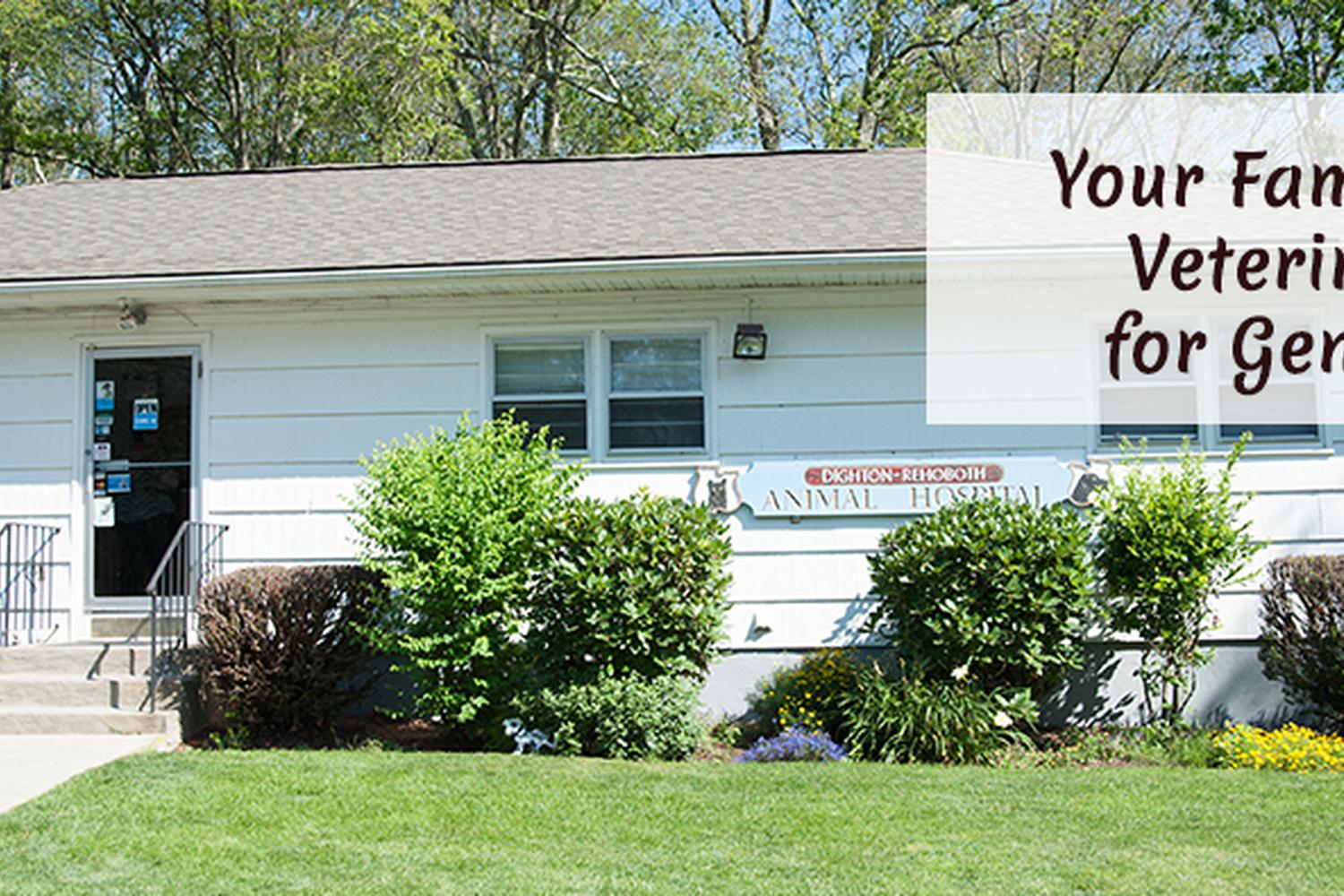 Dighton Rehoboth Animal Hospital 0
