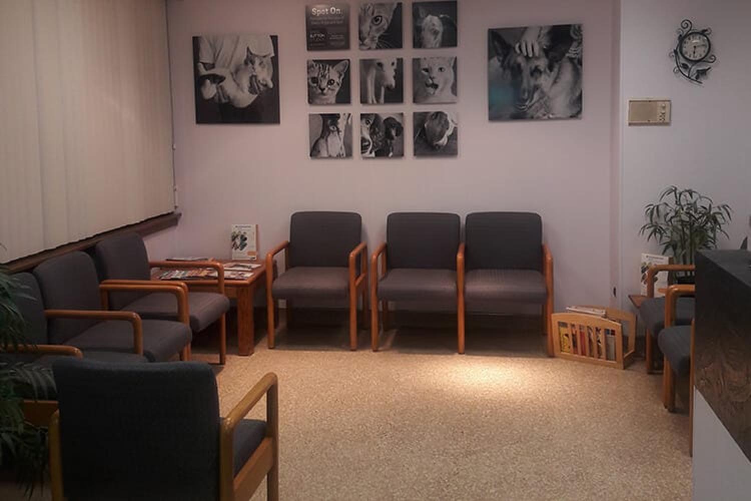 Companion Animal Hospital of River North 1