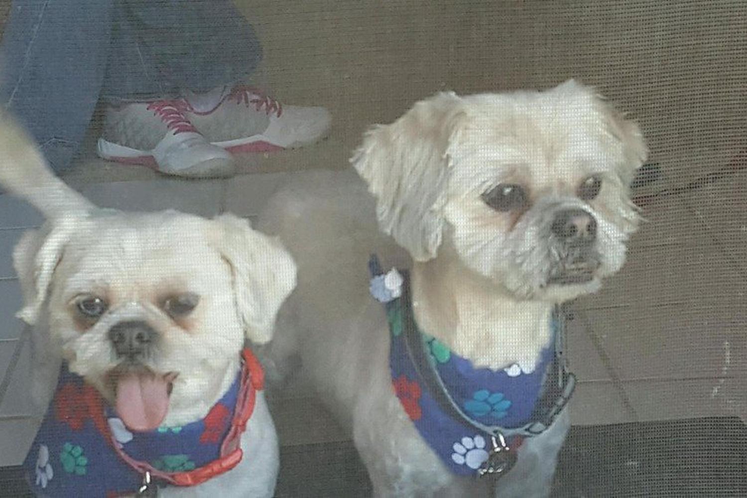 Northlake Veterinary Hospital 1
