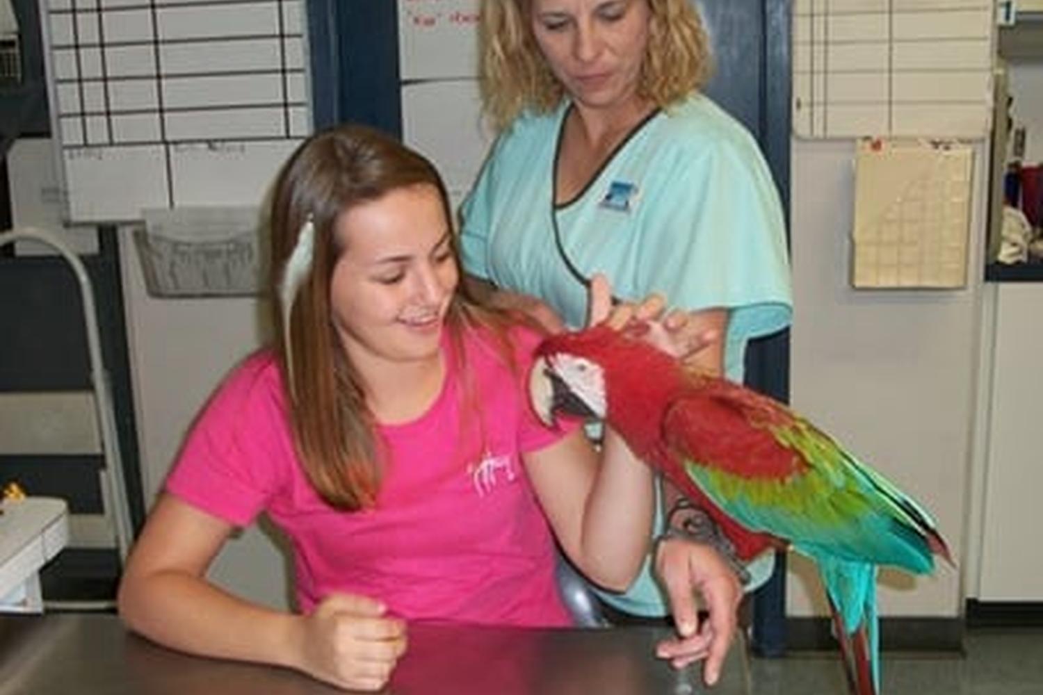 Bienville Animal Medical Center 3