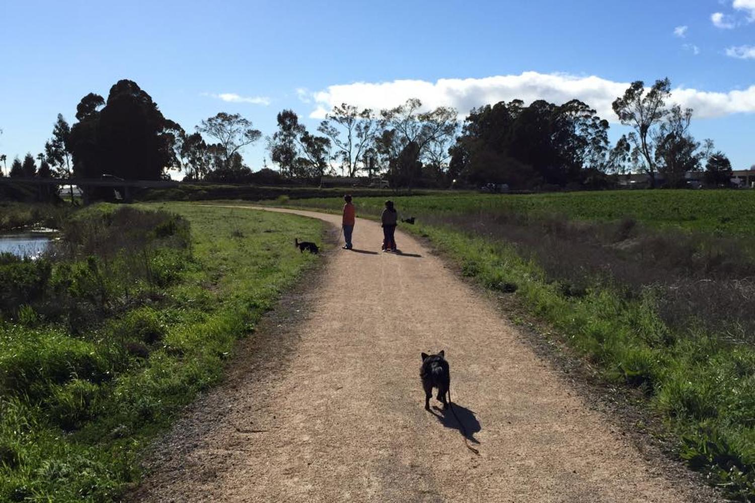 Watsonville Slough National Wildlife Refuge and Trail System 4