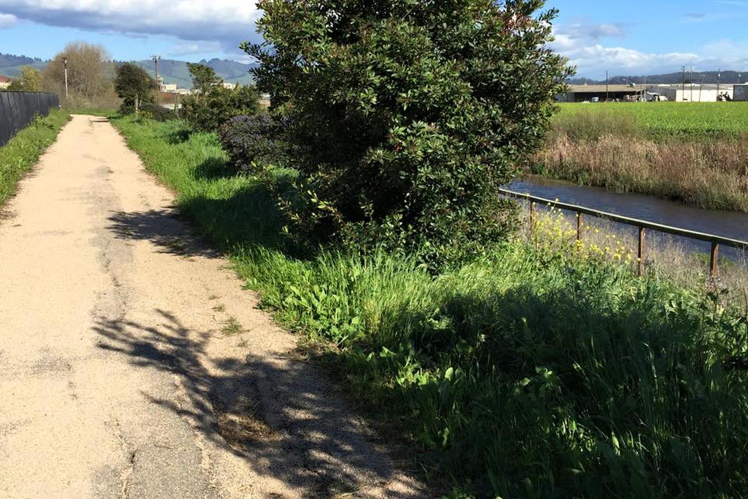 Watsonville Slough National Wildlife Refuge and Trail System 1