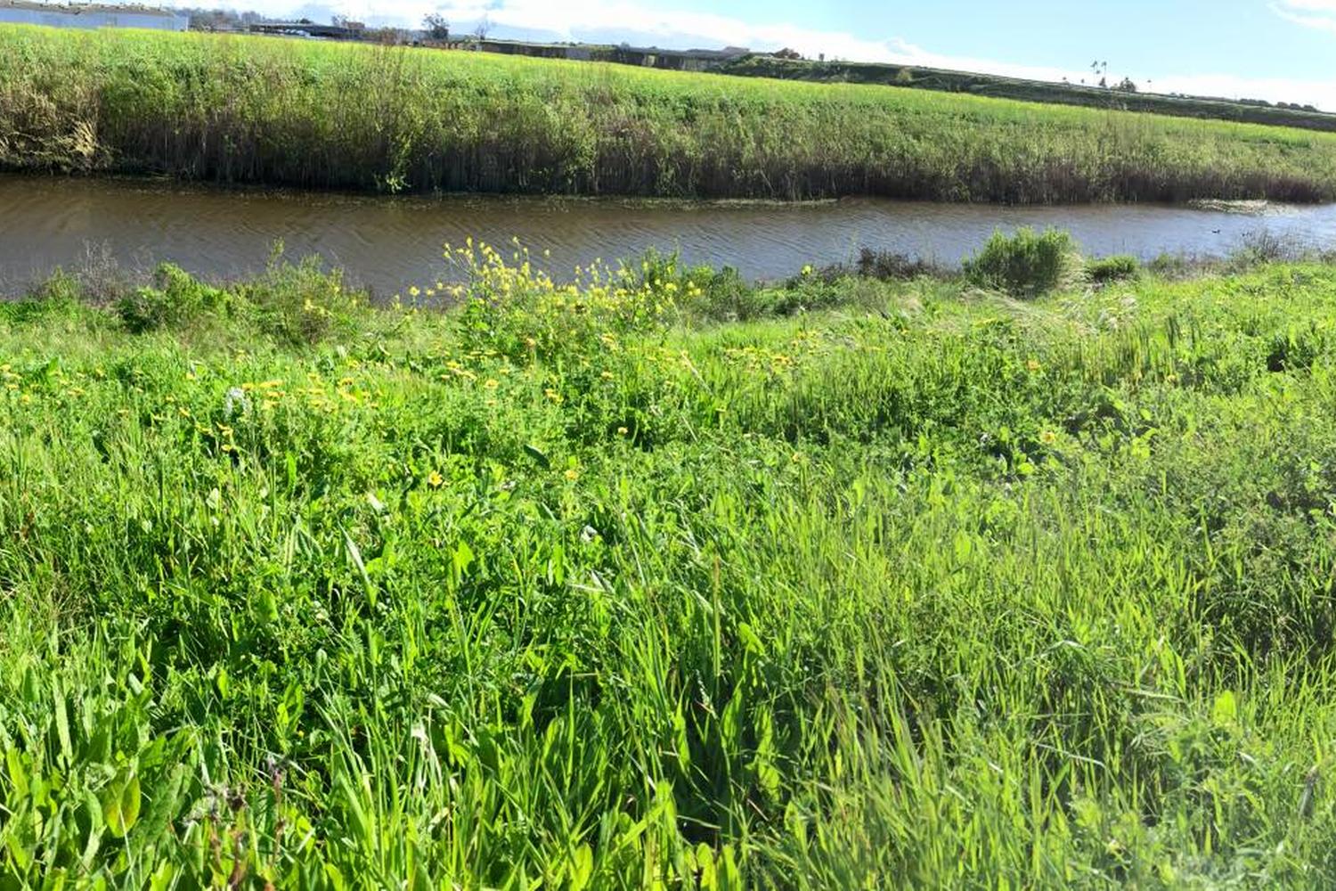 Watsonville Slough National Wildlife Refuge and Trail System 3