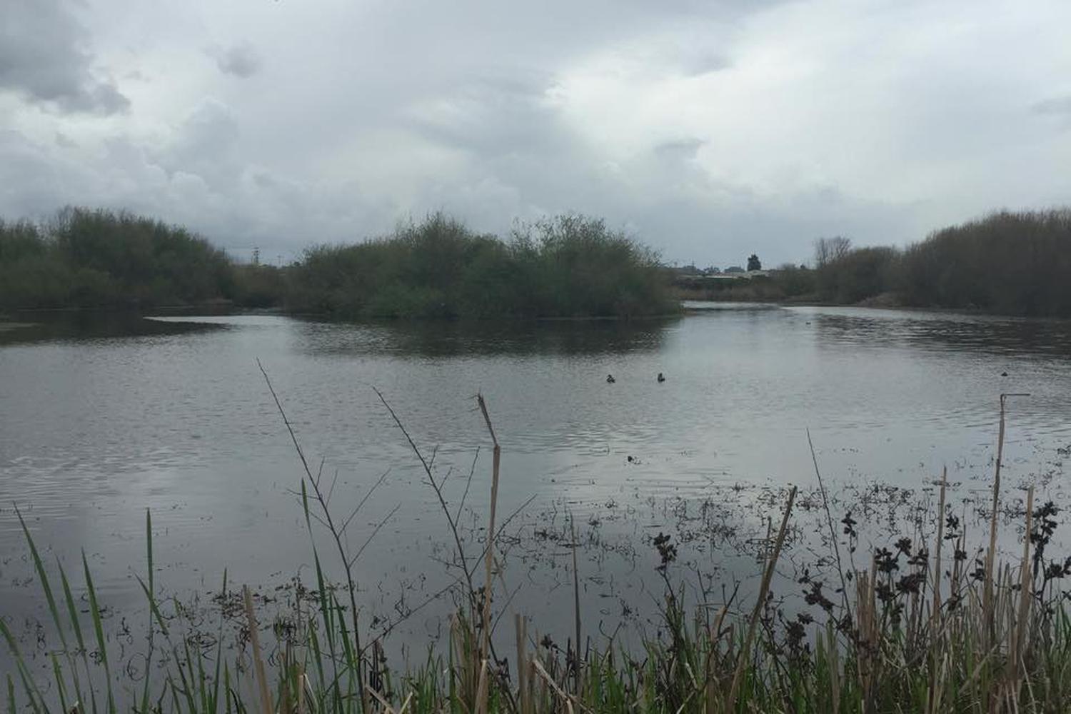 Watsonville Slough National Wildlife Refuge and Trail System 5