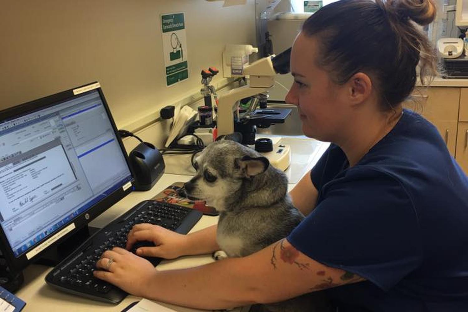 Juanita Bay Veterinary Hospital 2