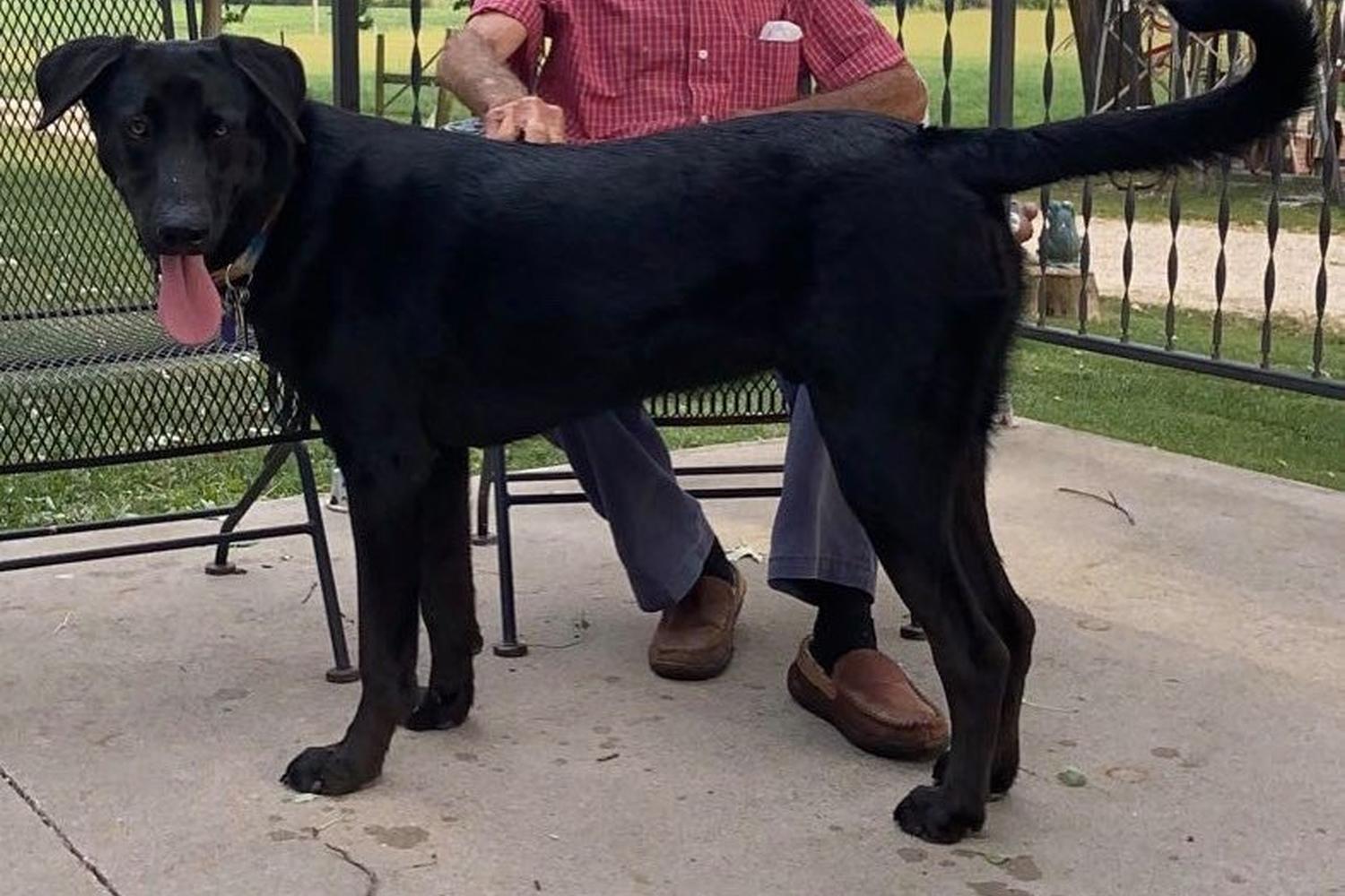 Four Paws and Hooves Veterinary Clinic 4