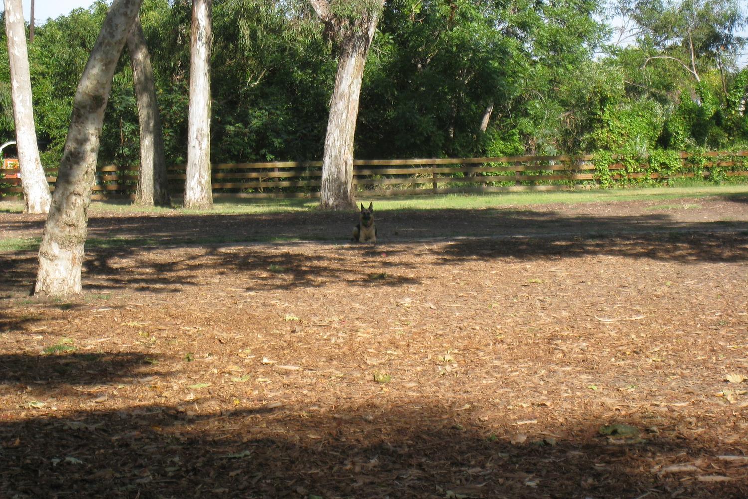 Camino Real Park 5