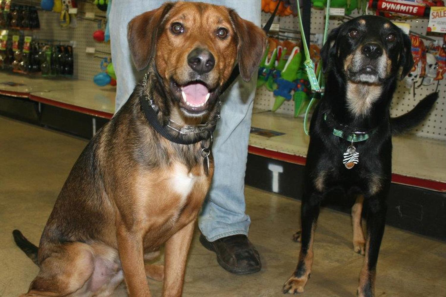 That Fish Place - That Pet Place 5