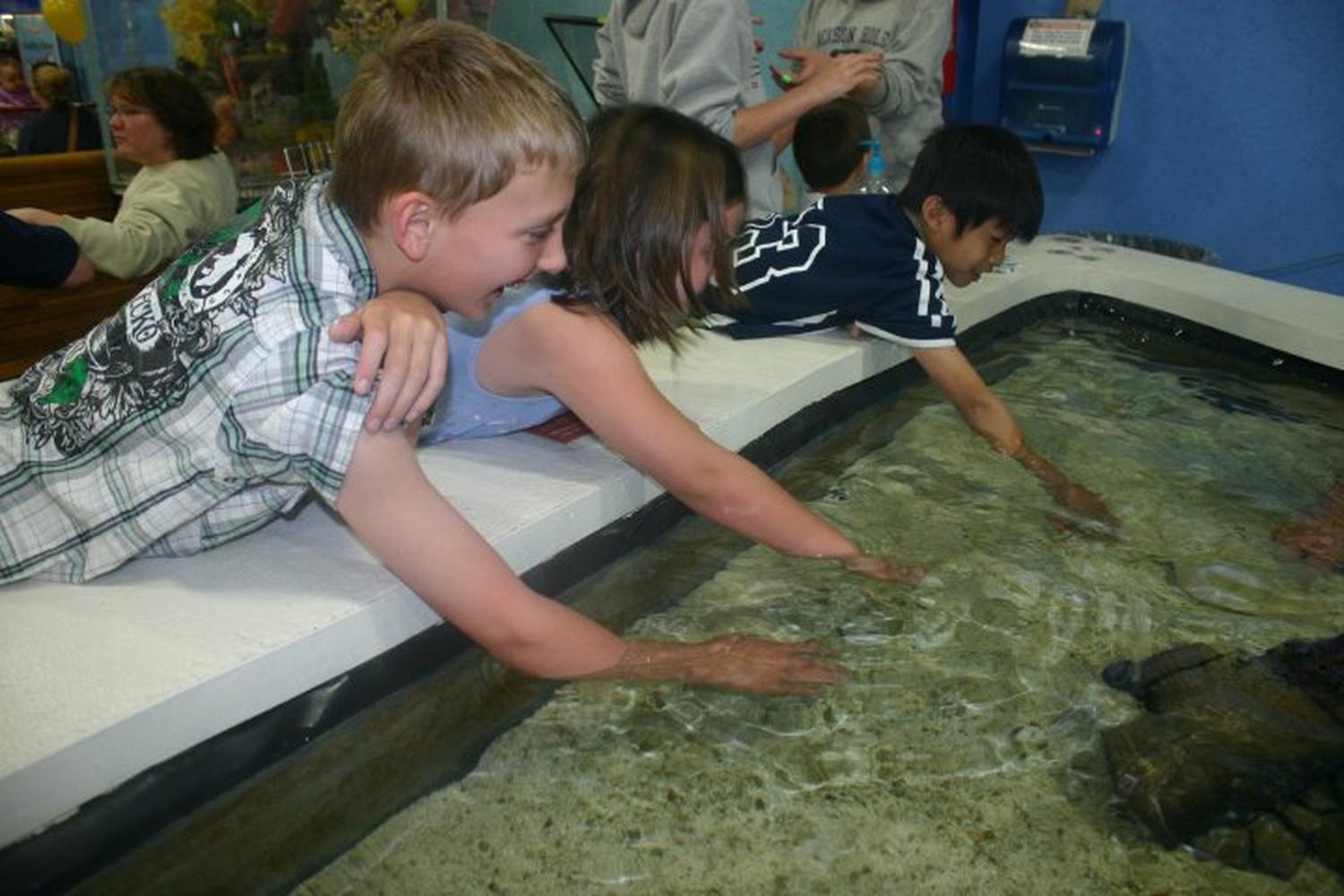 That Fish Place - That Pet Place 4