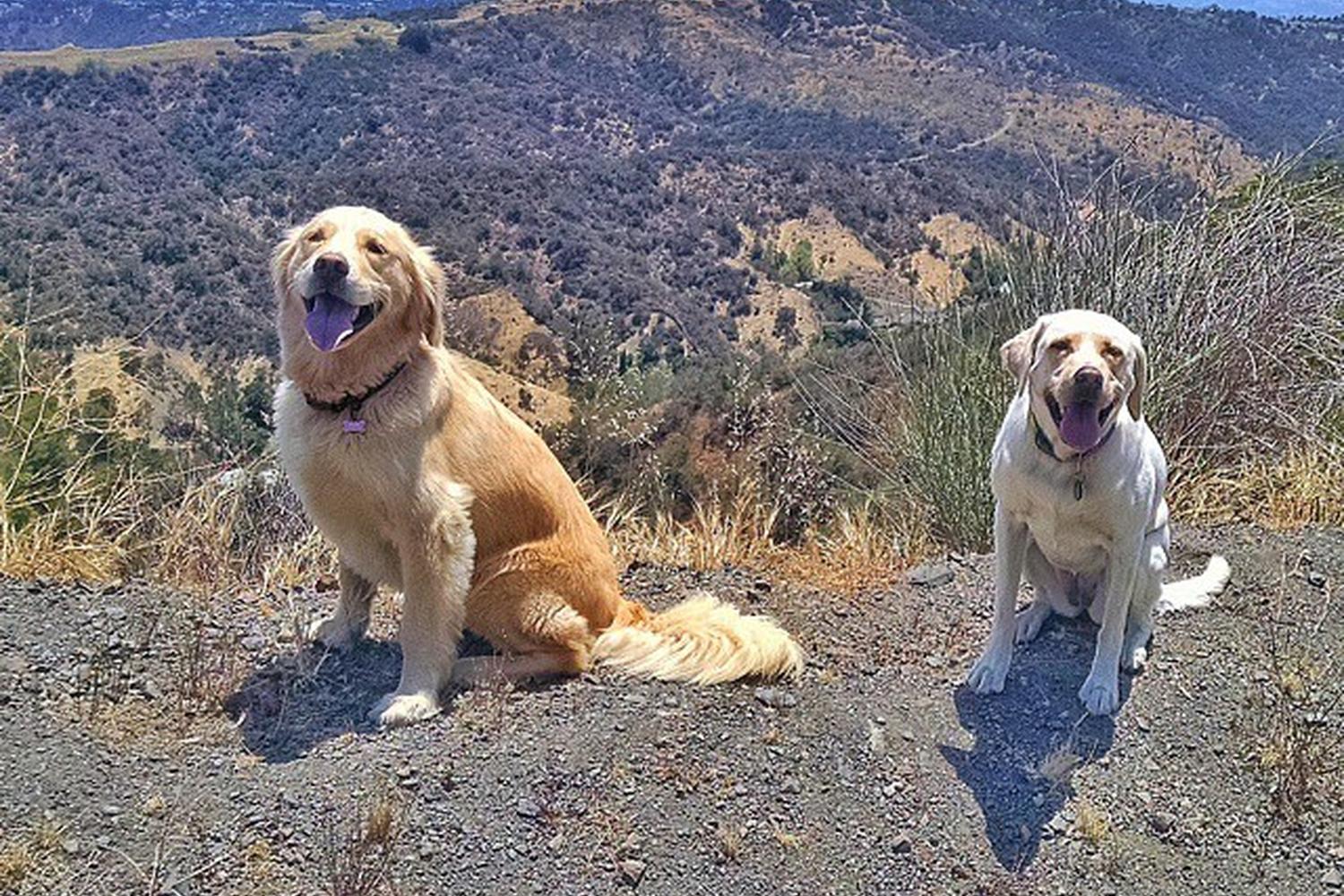 Mandeville Canyon to San Vicente Mountain Loop 3