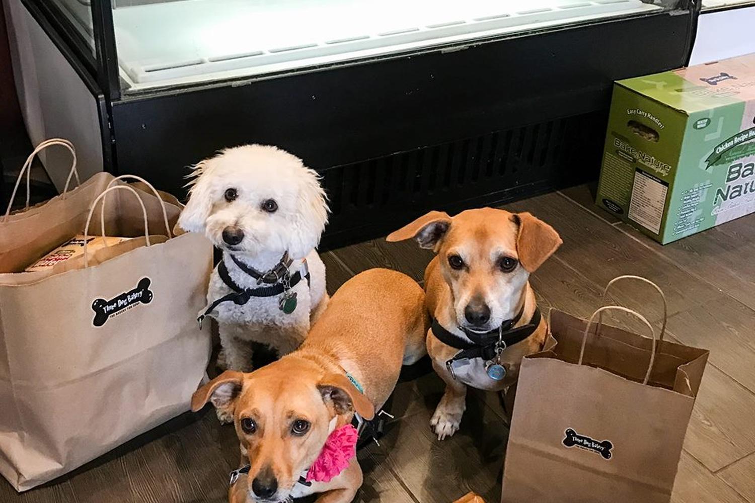 Three Dog Bakery – Las Vegas 0
