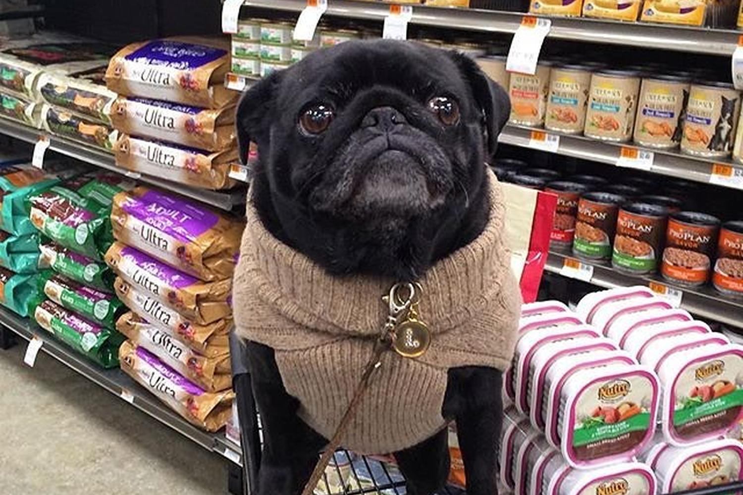 PETCO Dublin 3