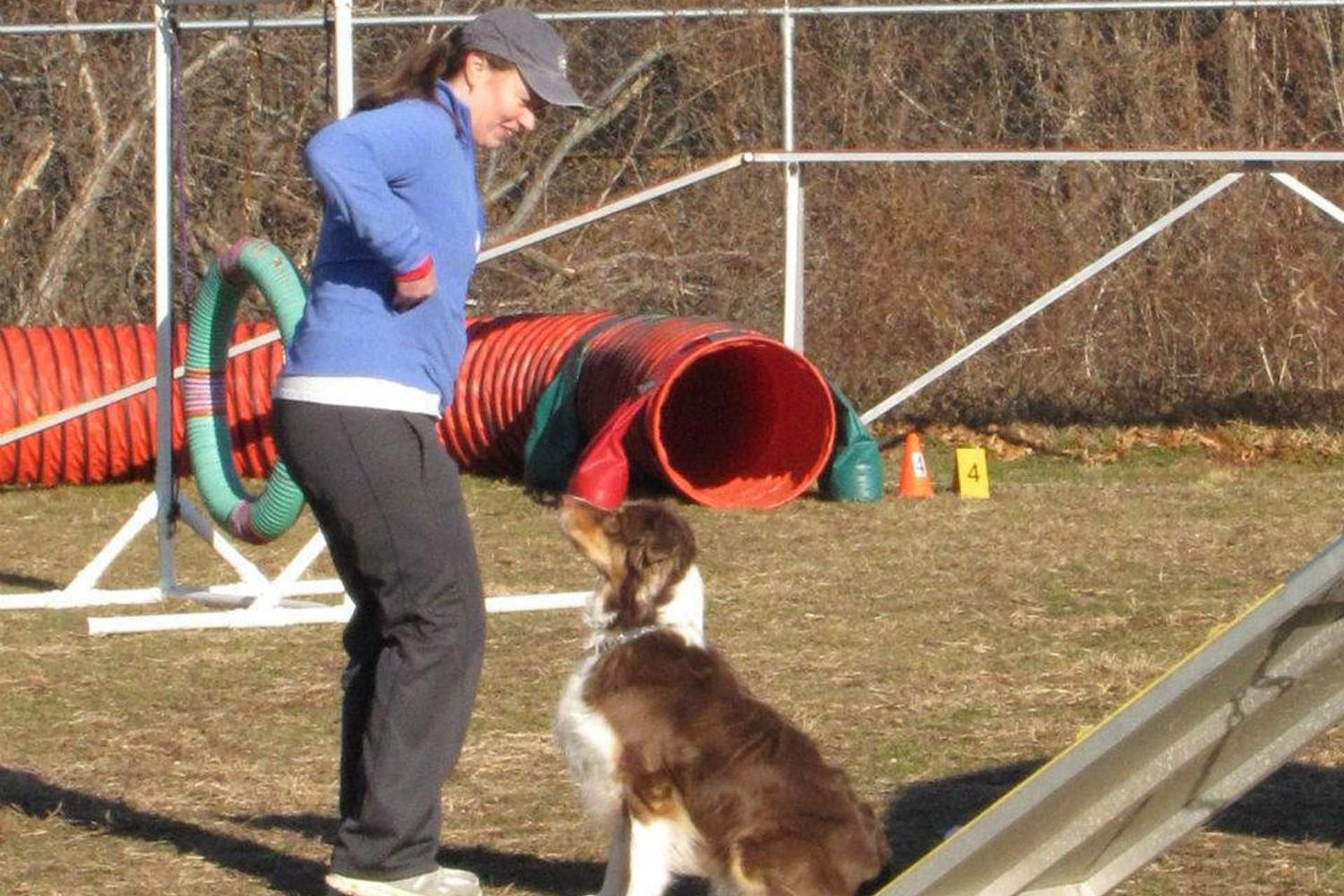 Jersey AGility Association (JAG) 2