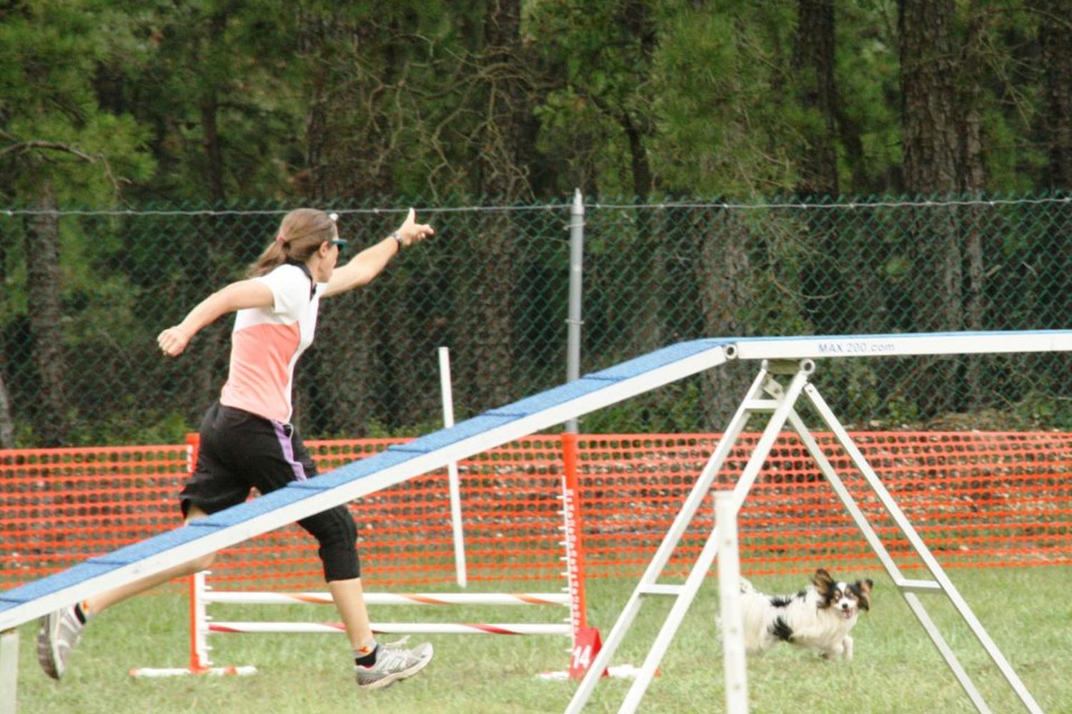 Jersey AGility Association (JAG) 1