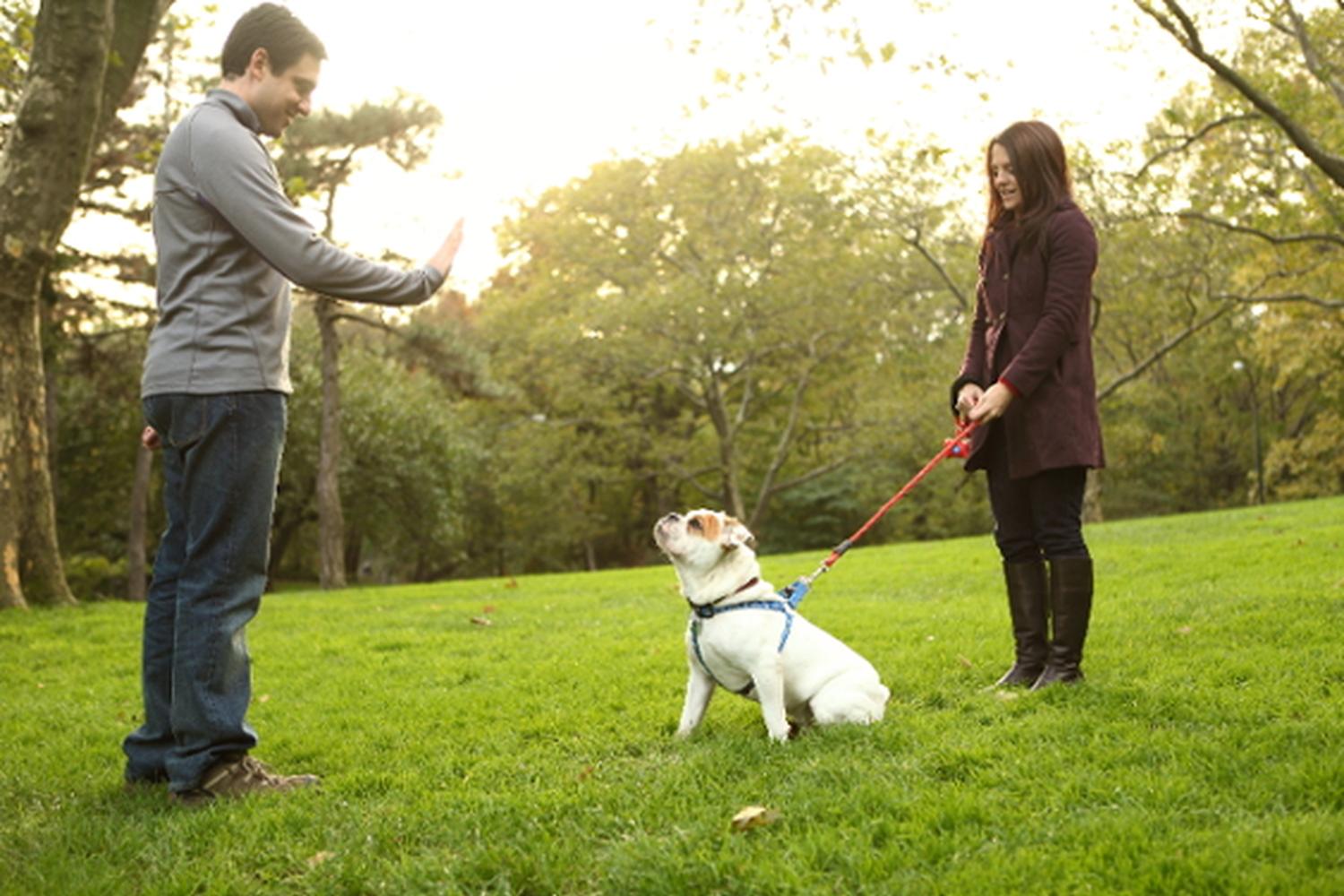CATCH Canine Trainers Academy 5