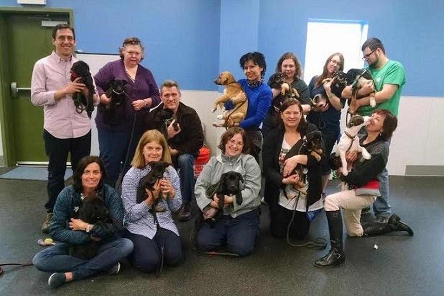 CATCH Canine Trainers Academy 1